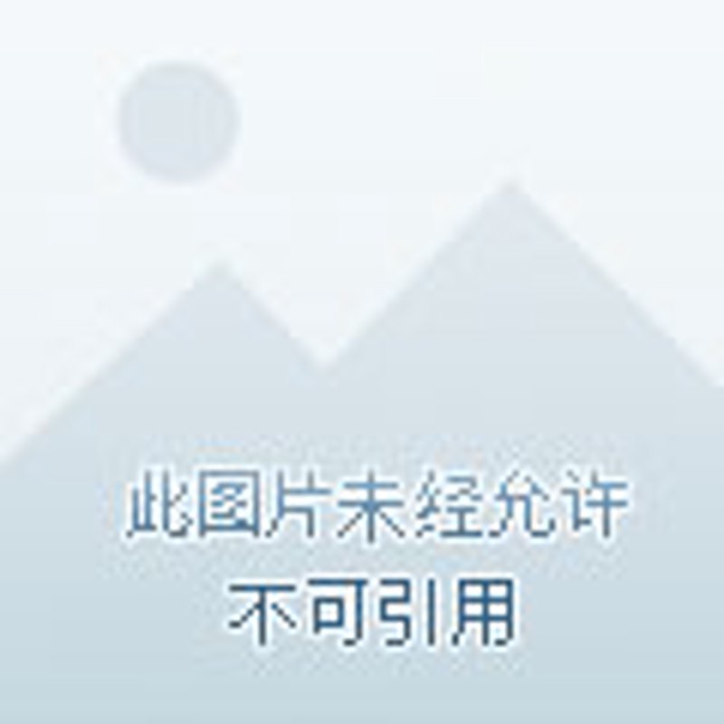 医疗咨询行业新动态：如何打造专业团队